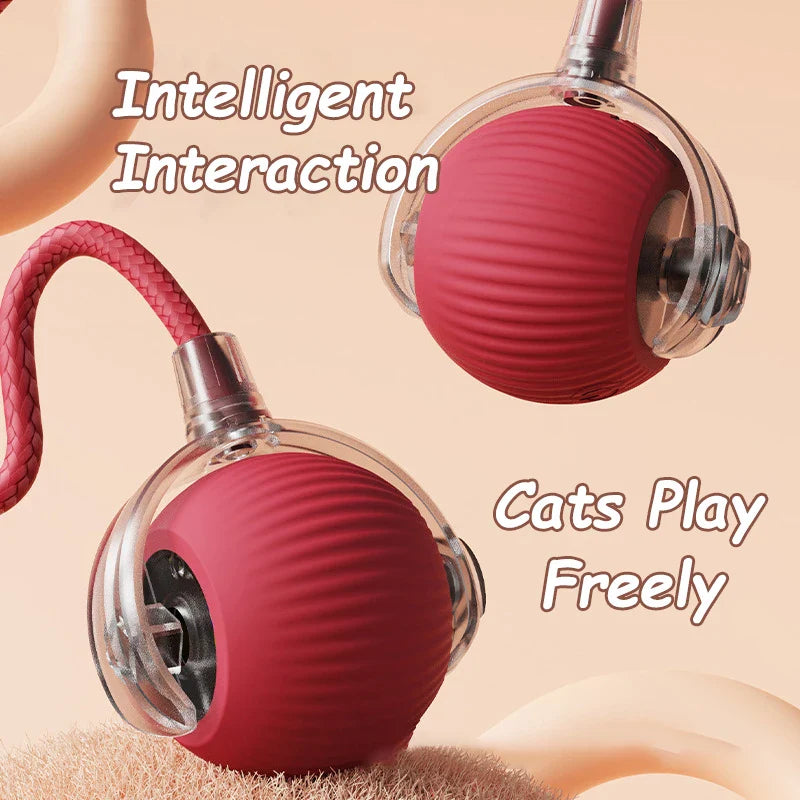 Smart Chase Cat Toy