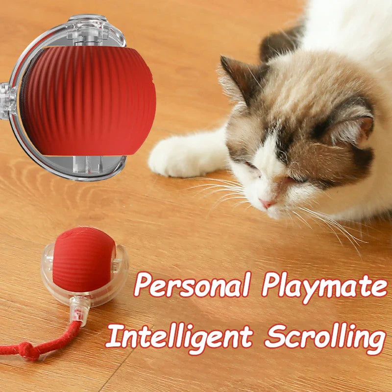 Smart Chase Cat Toy